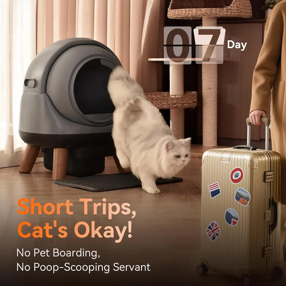 Coziley Cat Litter Box 7 Day Trip